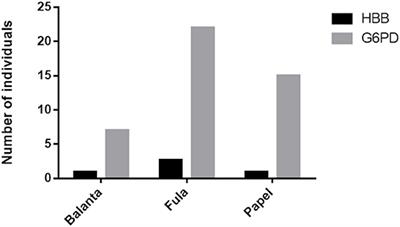 Distribution of HbS Allele and Haplotypes in a Multi-Ethnic Population of Guinea Bissau, West Africa: Implications for Public Health Screening